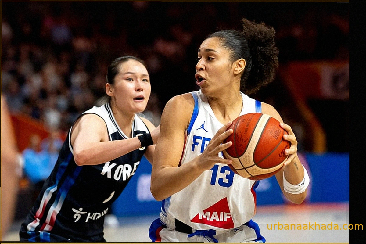 France-South Korea: 265,000 Viewers